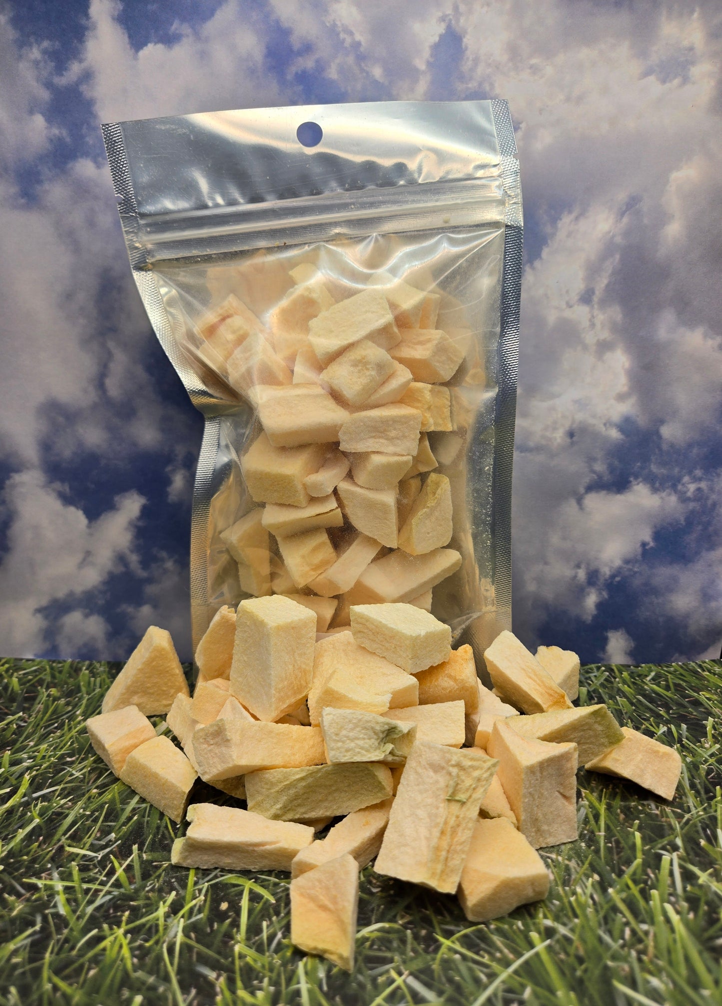 Cantaloupe- Freeze Dried