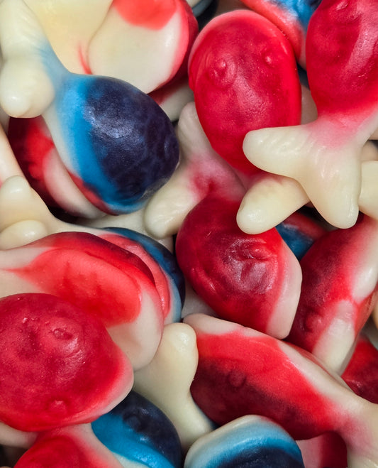 Whale Gummy