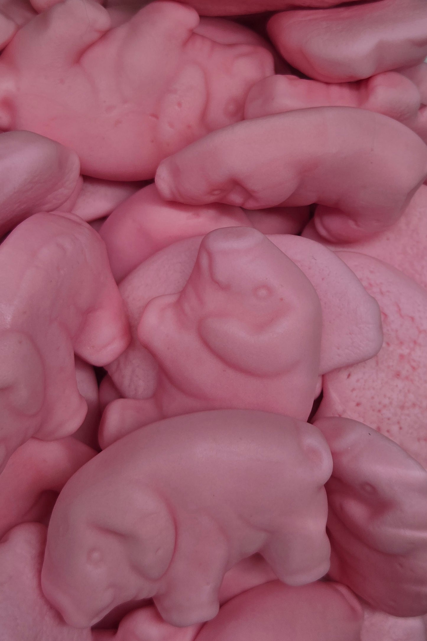 Pig Gummy